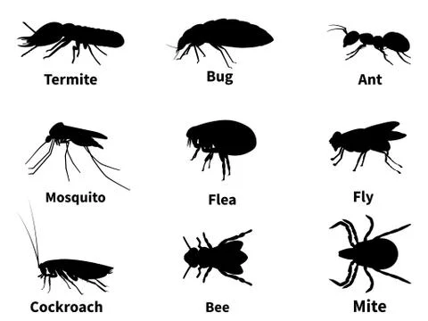 Vector illustration silhouettes of insects Stock Illustration
