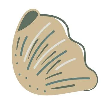 Vector illustration of a single colored sea shell on white background. Eleg.. Stock Illustration