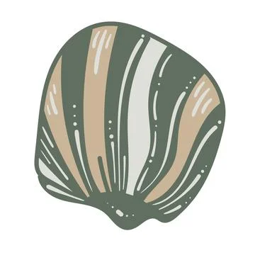 Vector illustration of a single colored sea shell on white background. Eleg.. イラスト素材