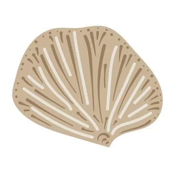 Vector illustration of a single colored sea shell on white background. Eleg.. Stock Illustration
