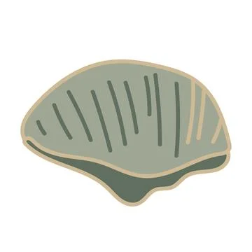 Vector illustration of a single colored sea shell on white background. Eleg.. Illustrazione stock