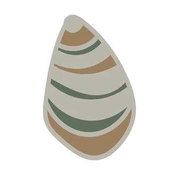 Vector illustration of a single colored sea shell on white background. Eleg.. イラスト素材