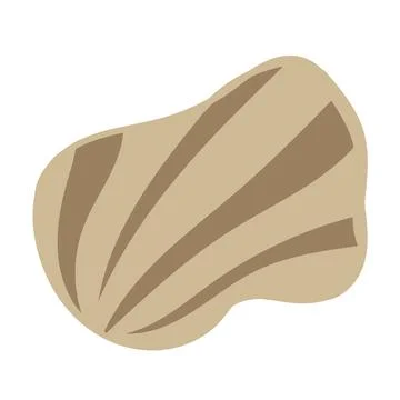 Vector illustration of a single colored sea shell on white background. Eleg.. 스톡 일러스트