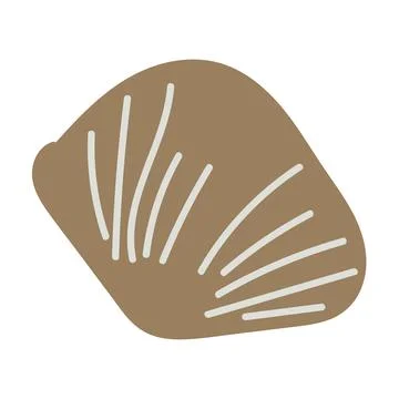 Vector illustration of a single colored sea shell on white background. Eleg.. イラスト素材