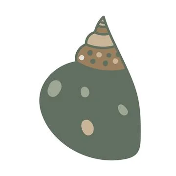 Vector illustration of a single colored sea shell on white background. Eleg.. 스톡 일러스트