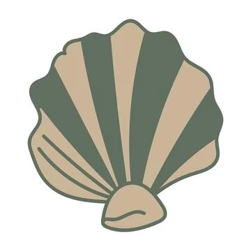 Vector illustration of a single colored sea shell on white background. Eleg.. Stock Illustration