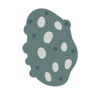 Vector illustration of a single colored sea shell on white background. Eleg.. イラスト素材