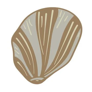 Vector illustration of a single colored sea shell on white background. Eleg.. イラスト素材