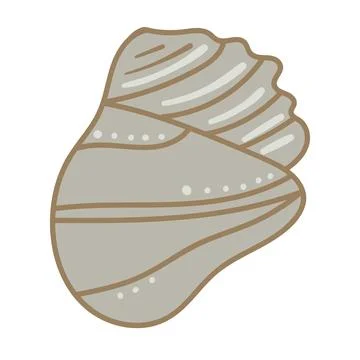Vector illustration of a single colored sea shell on white background. Eleg.. Illustrazione stock