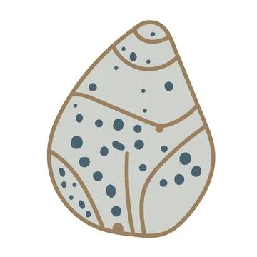 Vector illustration of a single colored sea shell on white background. Eleg.. Stock Illustration