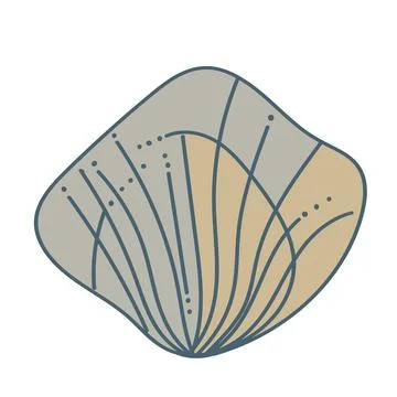 Vector illustration of a single colored sea shell on white background. Eleg.. Stock Illustration