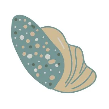 Vector illustration of a single colored sea shell on white background. Eleg.. Stock Illustration