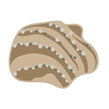 Vector illustration of a single colored sea shell on white background. Eleg.. Stock Illustration