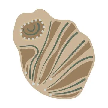 Vector illustration of a single colored sea shell on white background. Eleg.. Illustrazione stock