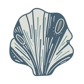 Vector illustration of a single colored sea shell on white background. Eleg.. Stock Illustration