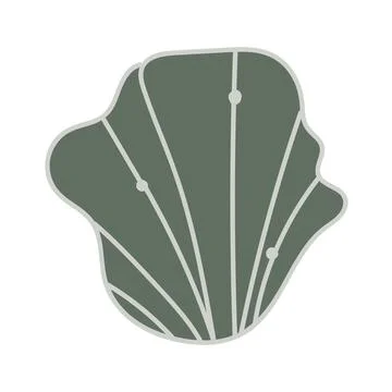 Vector illustration of a single colored sea shell on white background. Eleg.. Stock Illustration