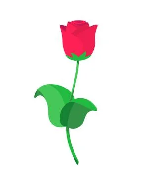 Vector illustration of single red roses in flat style Stock Illustration