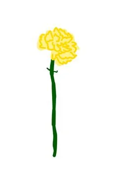 Vector illustration of a single yellow carnation Stock Illustration