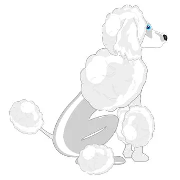 Vector illustration of the sitting dog of the sort poodle Stock Illustration