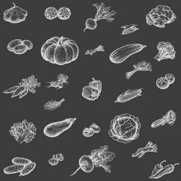 Vector illustration sketch set of vegetables Stock Illustration