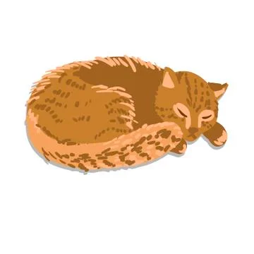 Vector illustration of sleeping cat Stock Illustration