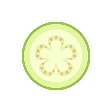 Vector illustration of a sliced zucchini isolated on a white background Stock Illustration