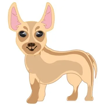 Vector illustration of the small dog of the sort that terrier Stock Illustration