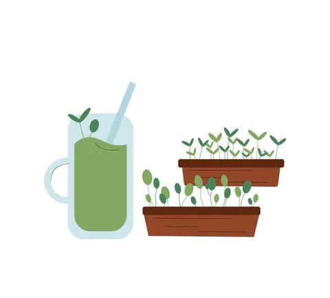 Vector illustration of smoothie from micro greens Stock Illustration