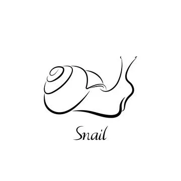 Vector illustration of snail. Stock Illustration
