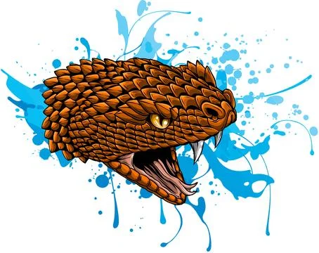 Vector illustration of snake head with splash water Stock-Illustration