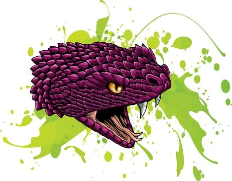 Vector illustration of snake head with splash water Stock-Illustration