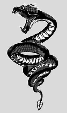 Vector illustration of snake with an open mouth on gray background Illustrazione stock