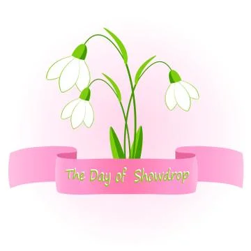 Vector illustration of snowdrop flowers. Stock Illustration