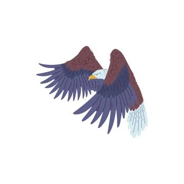 Vector illustration of a soaring bald eagle for design projects. Stock Illustration