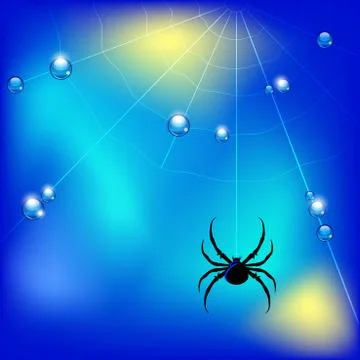 Vector illustration with spider , web and water drops Stock Illustration