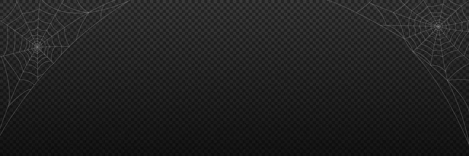 Vector illustration with spider web isolated on black background Stock Illustration