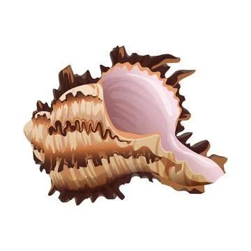 Vector Illustration of a Spiky Seashell Illustrazione stock