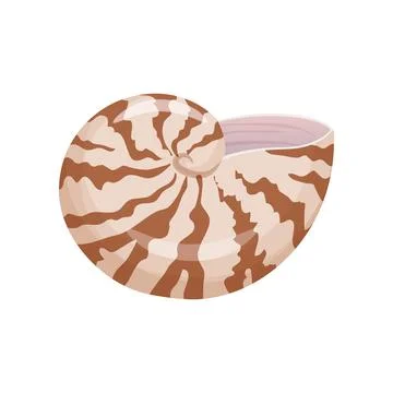 Vector Illustration of a Spiral Seashell Illustrazione stock