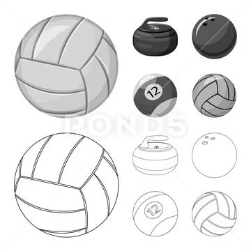 Vector illustration of sport and ball sign. Collection of sport and athletic Stock Illustration