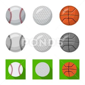 Vector illustration of sport and ball sign. Collection of sport and athletic Stock Illustration