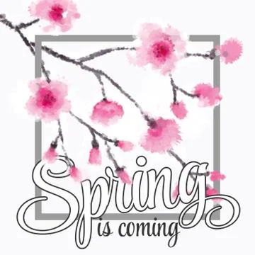 Vector illustration - spring season - cherry blossoms on a background of vintage Stock Illustration
