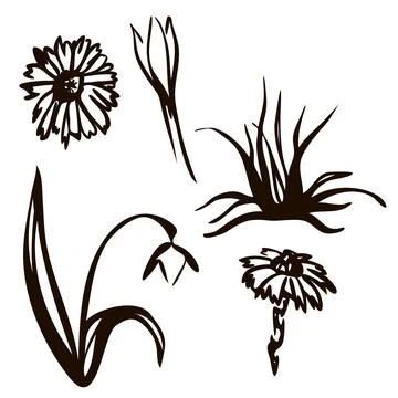 Vector illustration. Spring set drawn in black line. Snowdrops, birds, inscri Stock Illustration