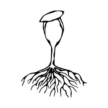 Vector Illustration of Sprout with Seed and Roots. Seedling, Shoot, Sapling G 库存插图