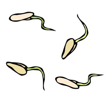 Vector Illustration of Sprouting Seeds. Seedling, Shoot, Gardening Plant. Tre Illustration