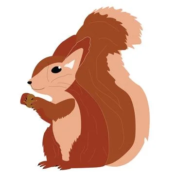 Vector illustration of squirrel holding a walnut Stock Illustration