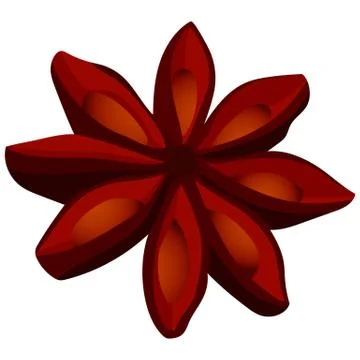 Vector illustration of star anise Stock Illustration