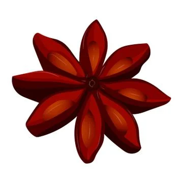 Vector illustration of star anise Illustrazione stock