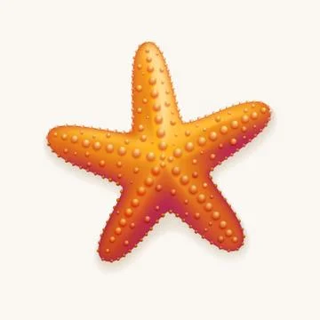 Vector illustration of starfish Stock Illustration