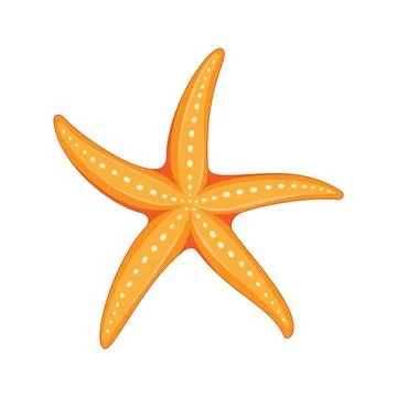 Vector illustration. Starfish isolated on white background 스톡 일러스트