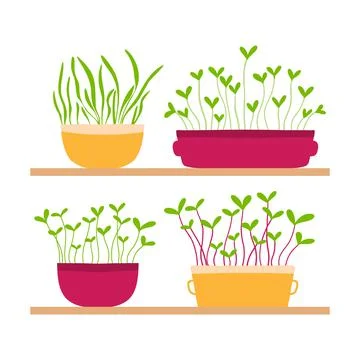 Vector illustration of a stele with potted plants. Stock Illustration